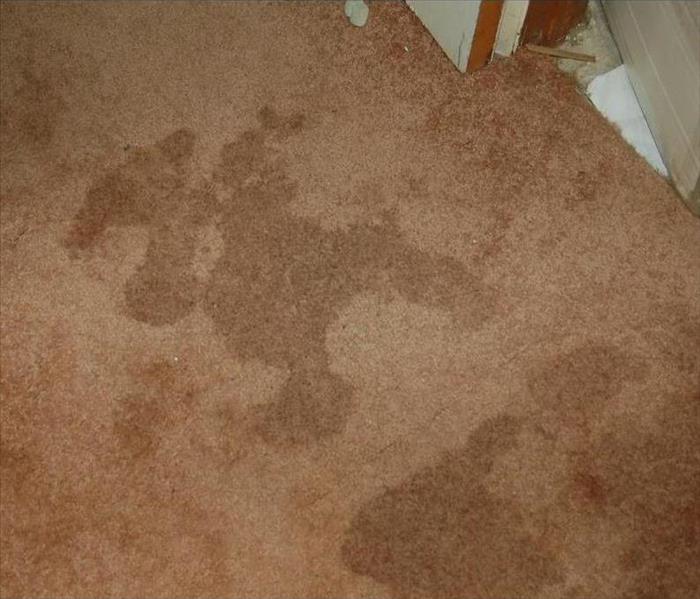 Carpet soaked with water